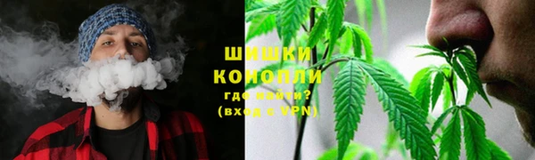 сатива Надым