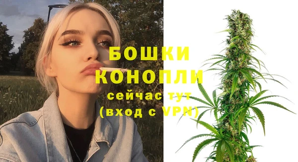 сатива Надым