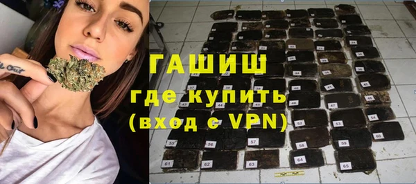 сатива Надым