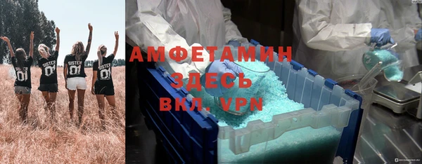 сатива Надым