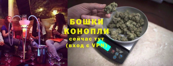 сатива Надым
