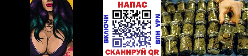 Каннабис план Юрьев-Польский